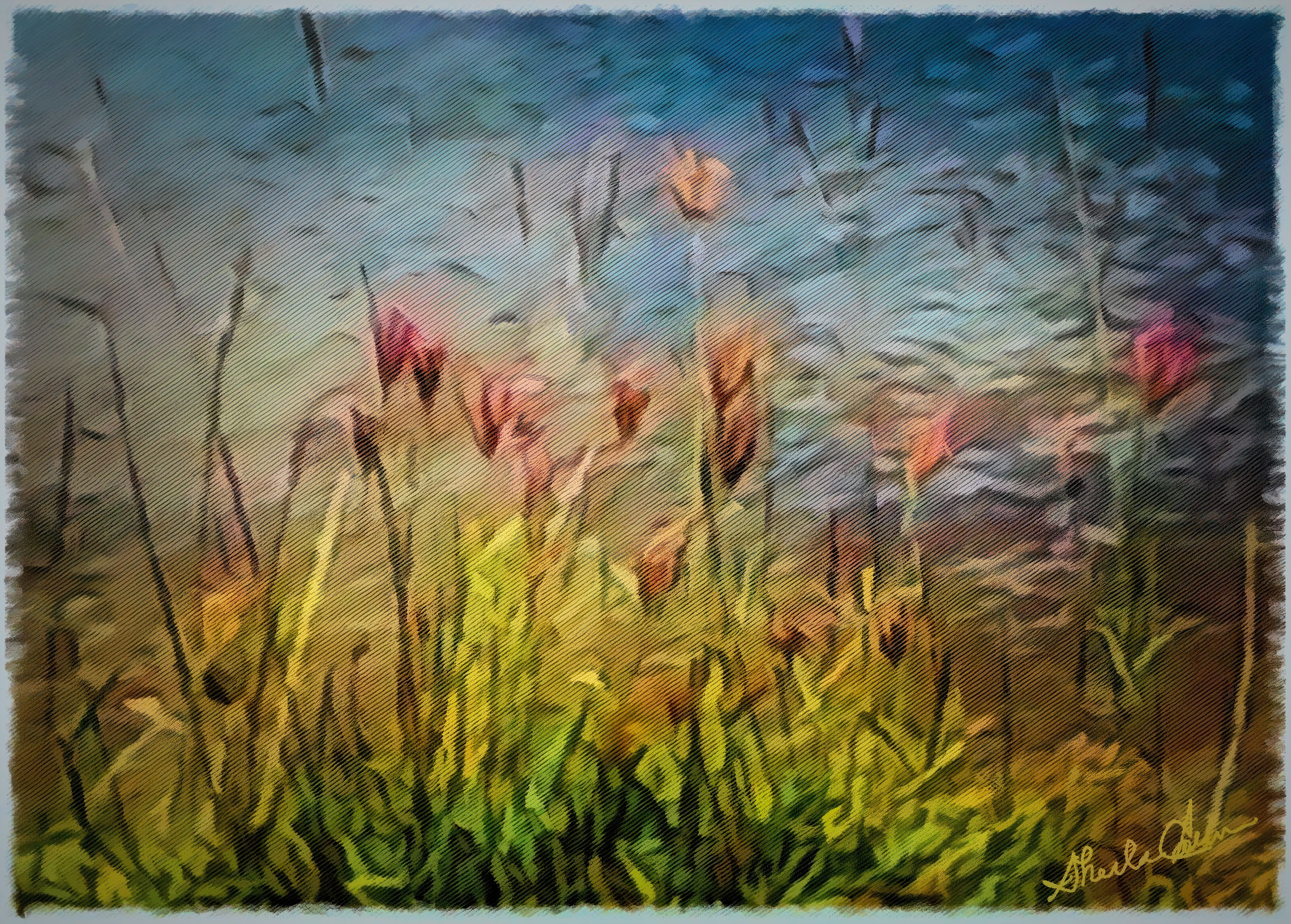 pink flowers along the shore of a river